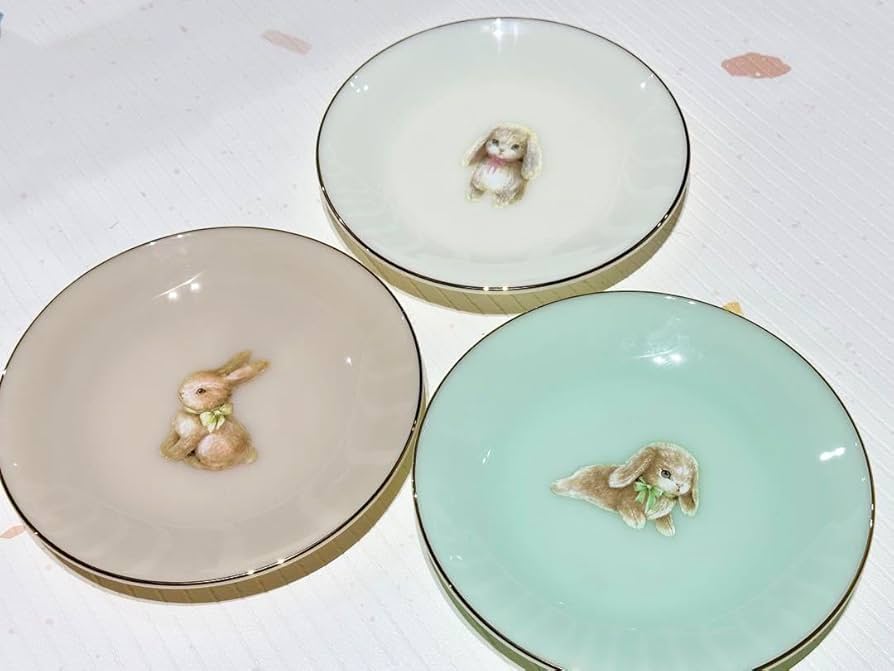 フランシュリッペ　プルミエール　うさぎ　プレート　皿　カラフル　新品 フランシュリッペ プルミエール うさぎ プレート 皿 カラフル